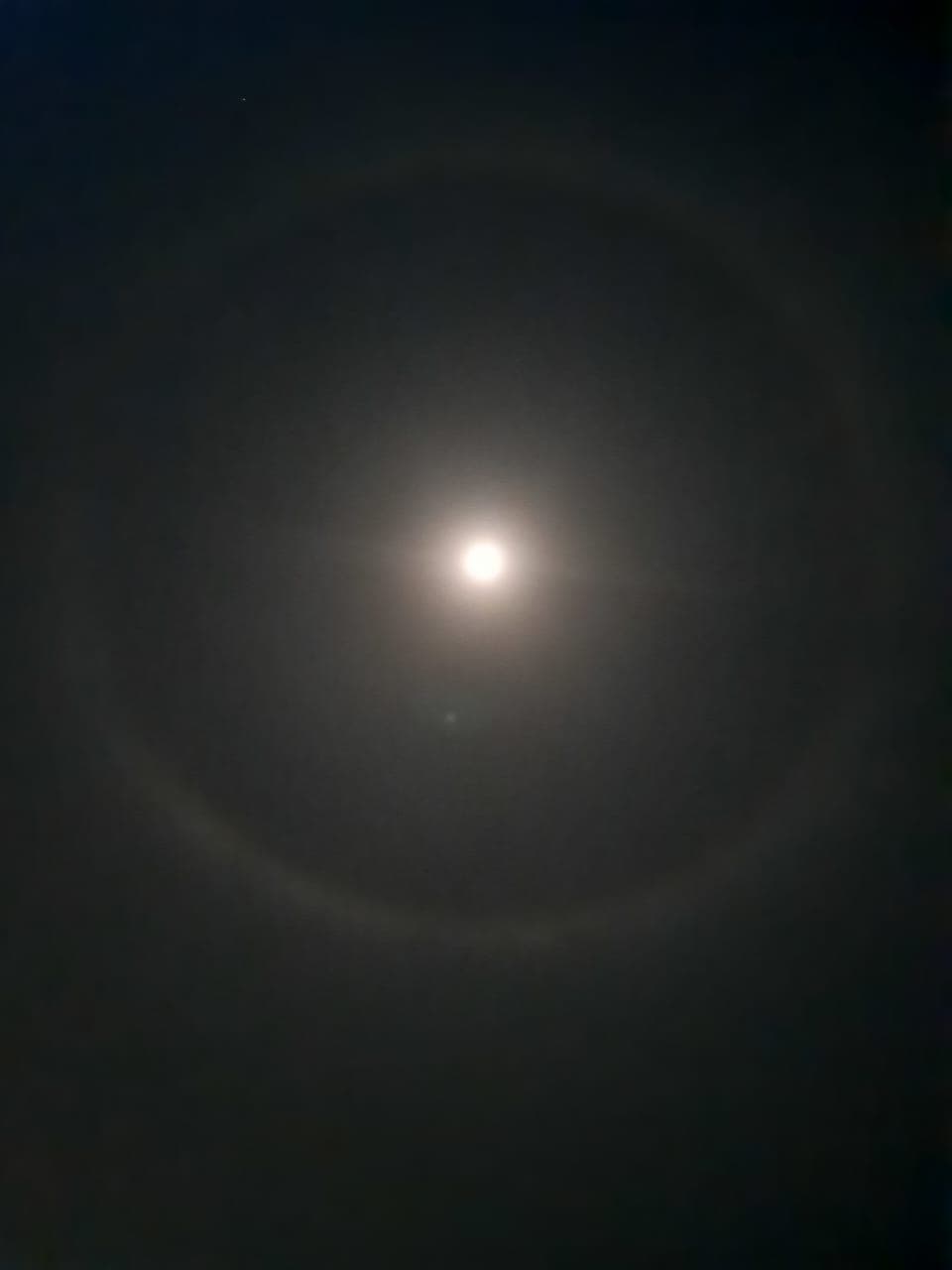 Halo rings